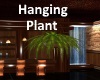 [BD]HangingPlant