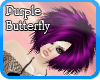 [SB] Purple Butterfly
