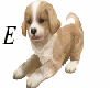 ETE CUTE ANIMATED PUPPY