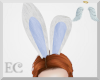 EC| My Easter Ears