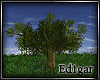 (ED1)Tree-23