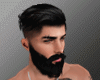 Realistic Black Beard