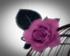 Roses Cage ^w^