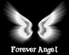 Forever Angel