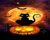 halloween cat hair