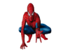 Spiderman Cutout