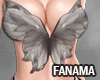 Butterfly2