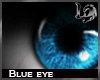 [LD] Blue eyes