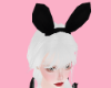 Black bunny ears