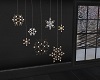 Hang Snowflakes/Lights
