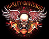 HARLEY DAVIDSON CLUB 