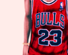 Chicago  jersey #23