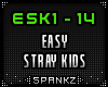 Easy - Stray Kids - ESK