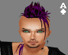 (A)Purple Mohawk