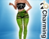 green and black fit