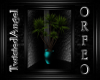 lTl Orfeo Plant