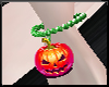 ∘ Pumpkin Bracelet M