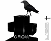 S N Cemetery Crow