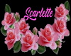 Scarlette Wall Sign