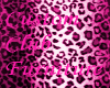 Pink Leopard tail