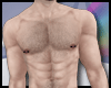 Hair in Chest | Brown 2