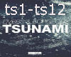 DVBBS Tsunami song
