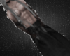 Seer