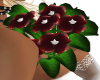 Maroon Primrose Bouquet