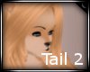 -CINN-Tail 2