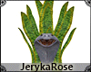[JR] Snake Plants