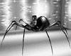 black spider avi M