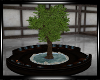 (A) Tree Lounge
