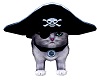 PHV Pirate Silver PetCat
