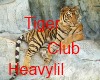Tiger club