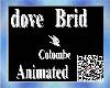 Animated Colombe