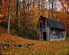 Country barn picture