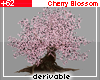 +62 Cherry Blossom