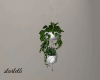 White Hanging Plants