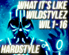 Hardstyle What It's Like