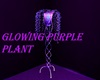 Glowing Purple Plant