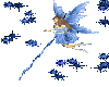 small blue fairy