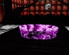 Paradice Purple Catbed