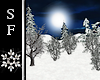 SF~ Winter Forest