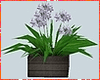 Kawaii Flower Box