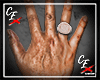 CE' Signet RG RH Ring