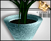 Deco Plant