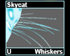 Skycat Whiskers