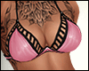 [ festival bra ]