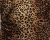 cheetah curtain r