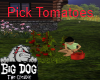 [BD] Pick Tomatoes
